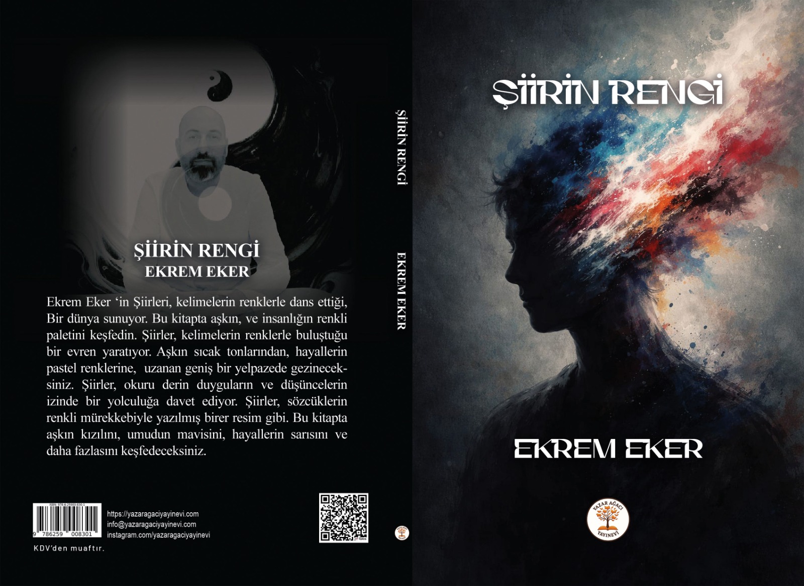 ŞİİRİN RENGİ - Görsel 2