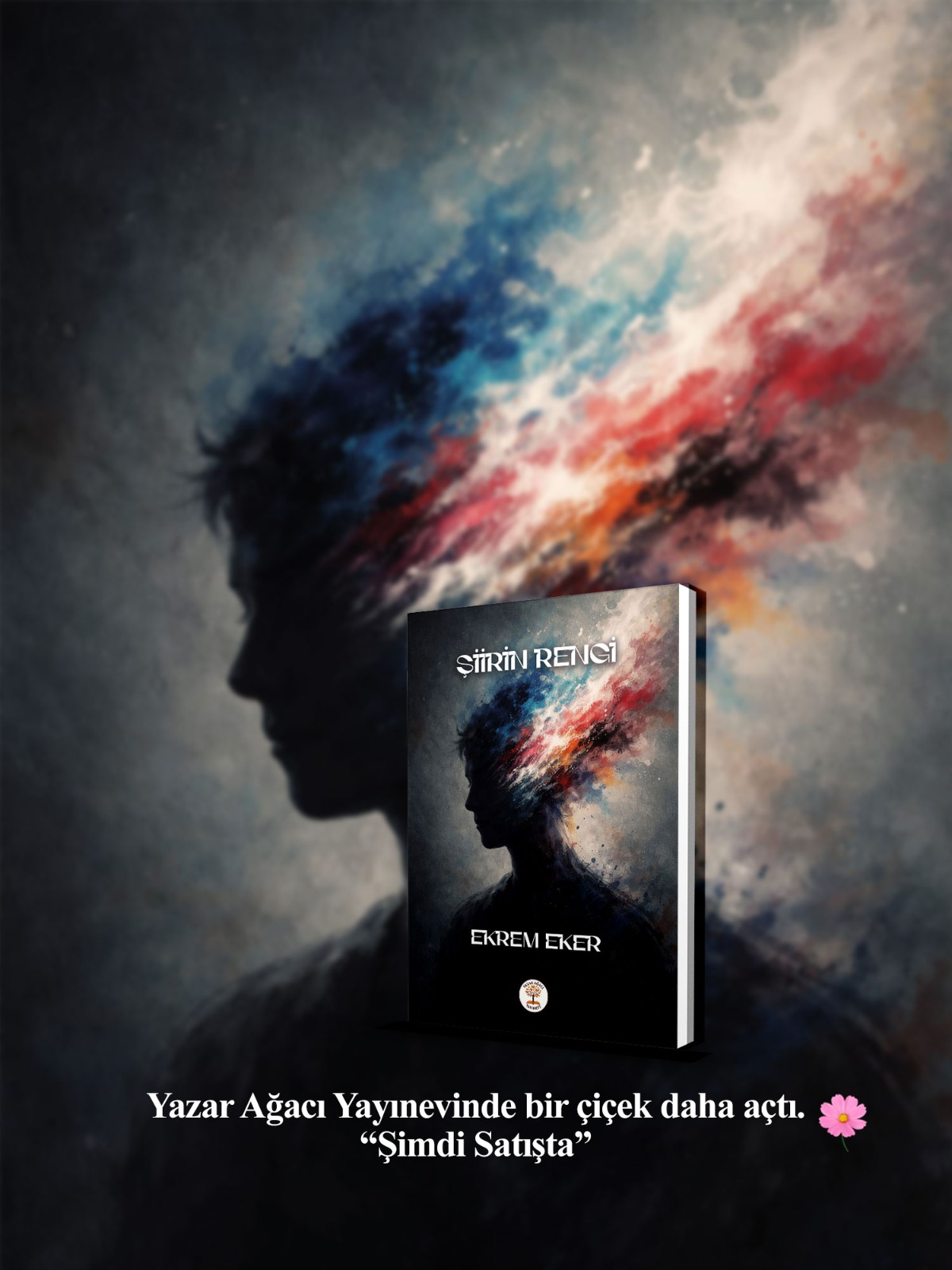 ŞİİRİN RENGİ - Görsel 4